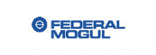 RVA Group decommissioning expertise - Federal Mogul