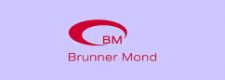 Chemical decommissioning and demolition support - Brunner Mond